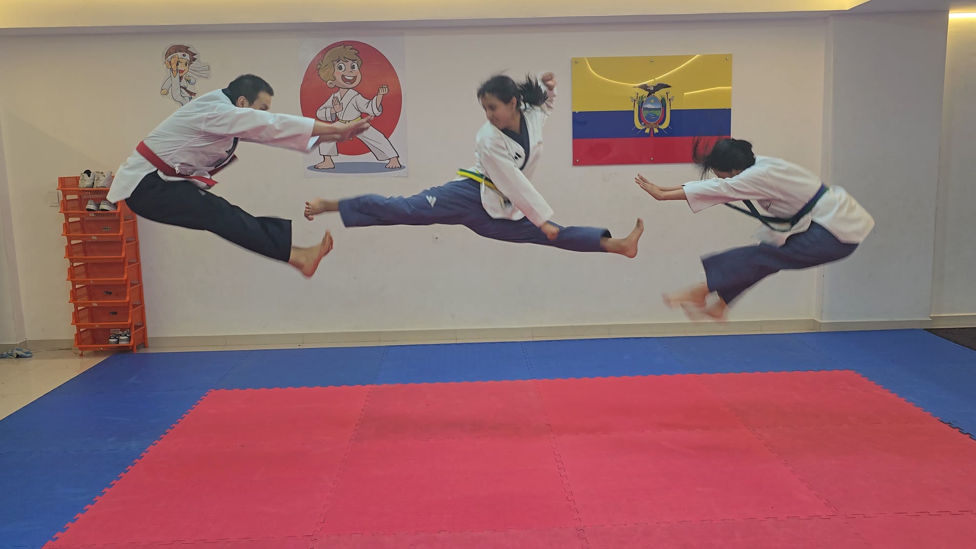 Taekwondo, Kickboxing, Jiu-Jitsu